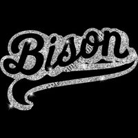 GLT78 SILVER GLITTER Thumbnail